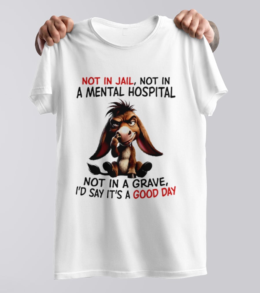 Donkey Not In Jail Not In A Mental Hospital Not In A Grave I'd Say It's A Good Day T-Shirt