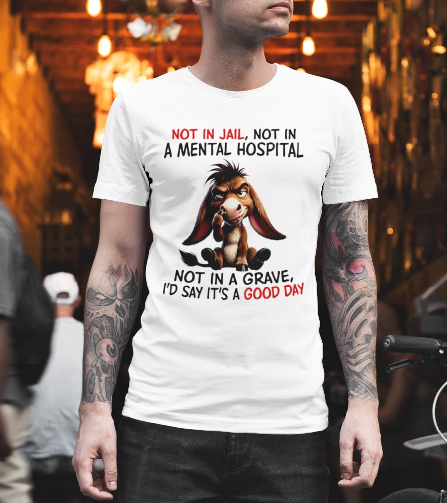 Donkey Not In Jail Not In A Mental Hospital Not In A Grave I'd Say It's A Good Day T-Shirt