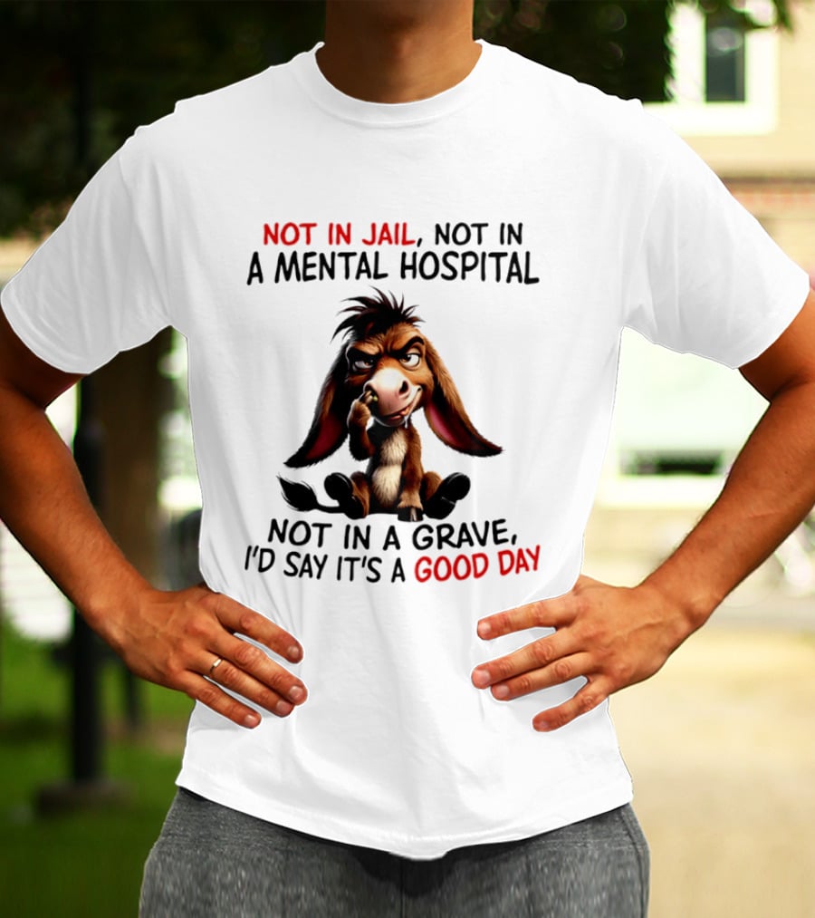 Donkey Not In Jail Not In A Mental Hospital Not In A Grave I'd Say It's A Good Day T-Shirt