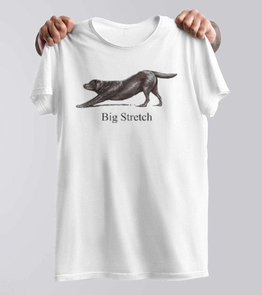 Big Stretch Labrador Retriever Stretching Pose T-Shirt