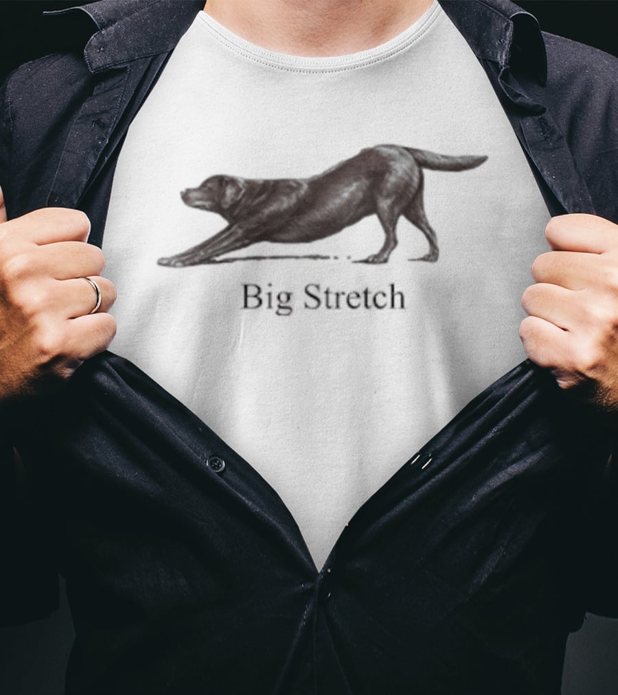 Big Stretch Labrador Retriever Stretching Pose T-Shirt