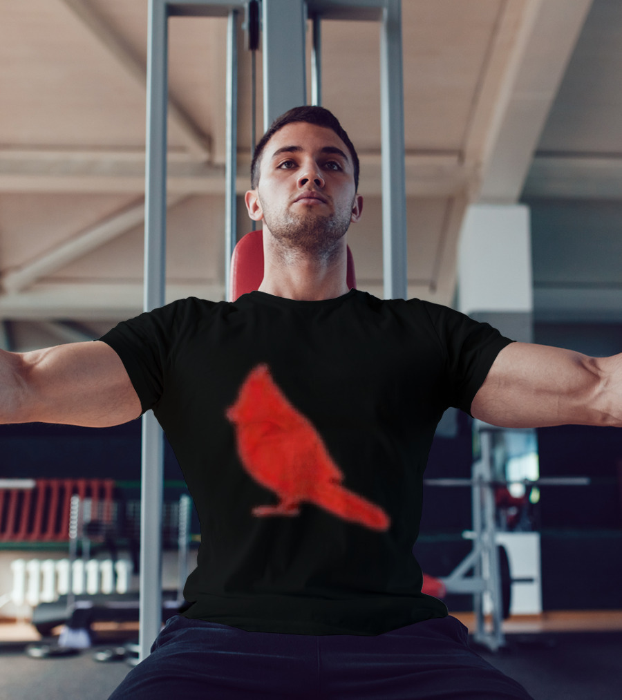 The Slumerican Cardinal Red Bird Stylized T-Shirt