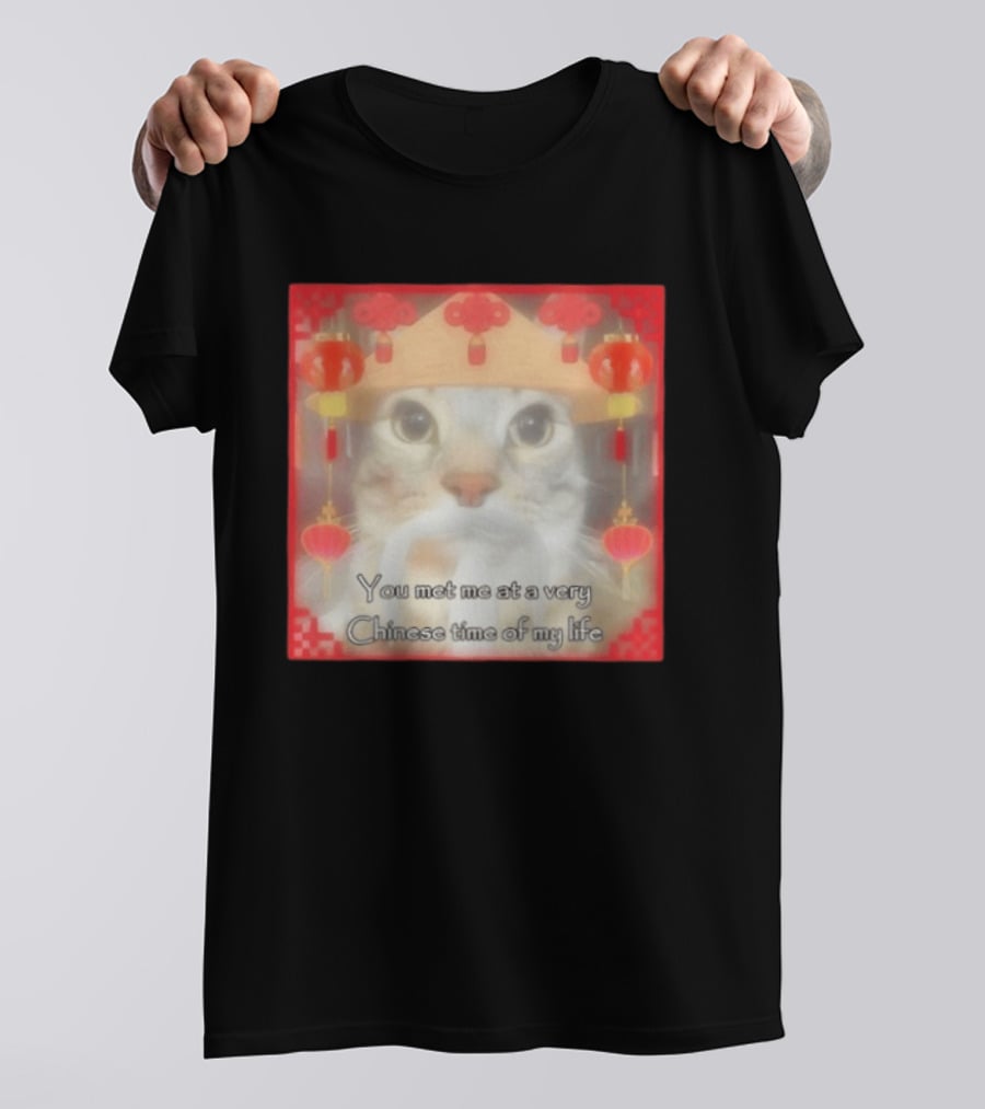 You Met Me At A Very Chinese Time Of My Life Cat Lanterns Hat T-Shirt