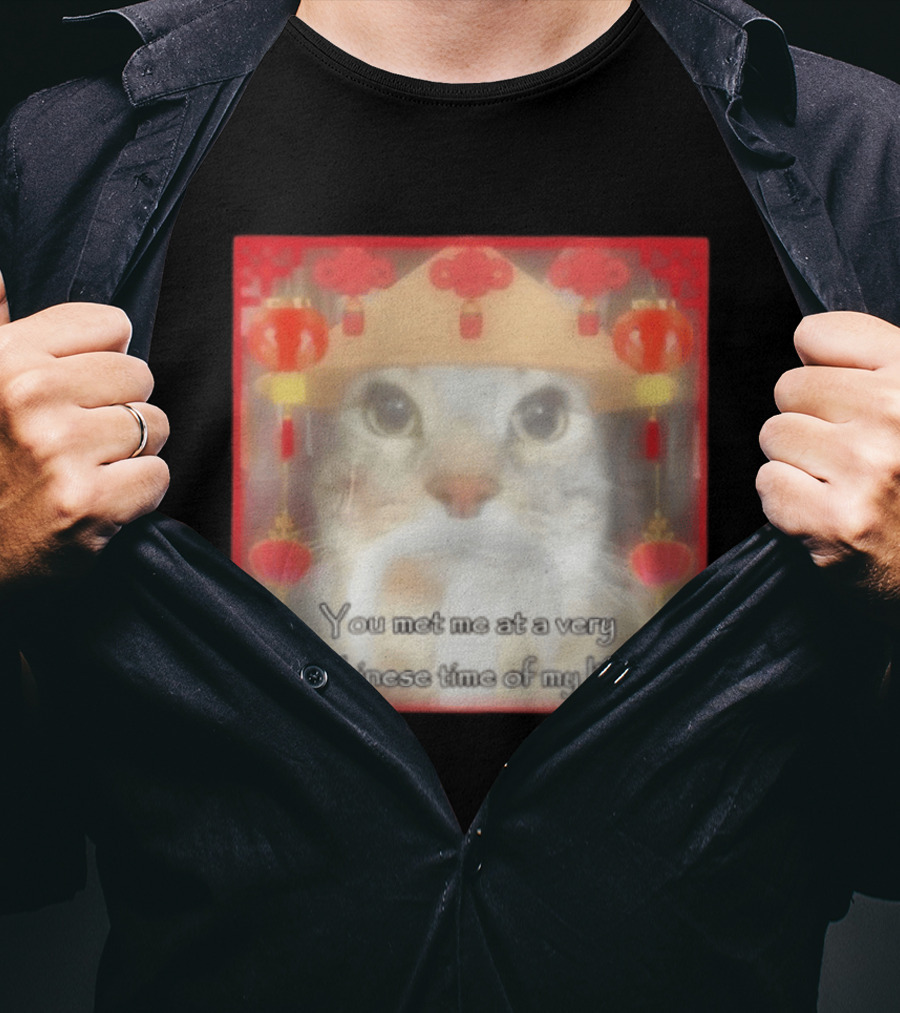 You Met Me At A Very Chinese Time Of My Life Cat Lanterns Hat T-Shirt