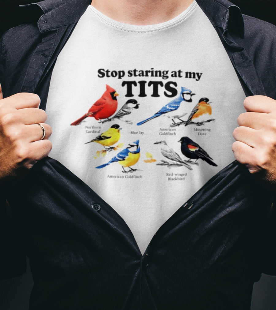Stop Staring At My Tits Northern Cardinal Blue Jay American Goldfinch Mourning Dove Red Winged Blackbird T-Shirt