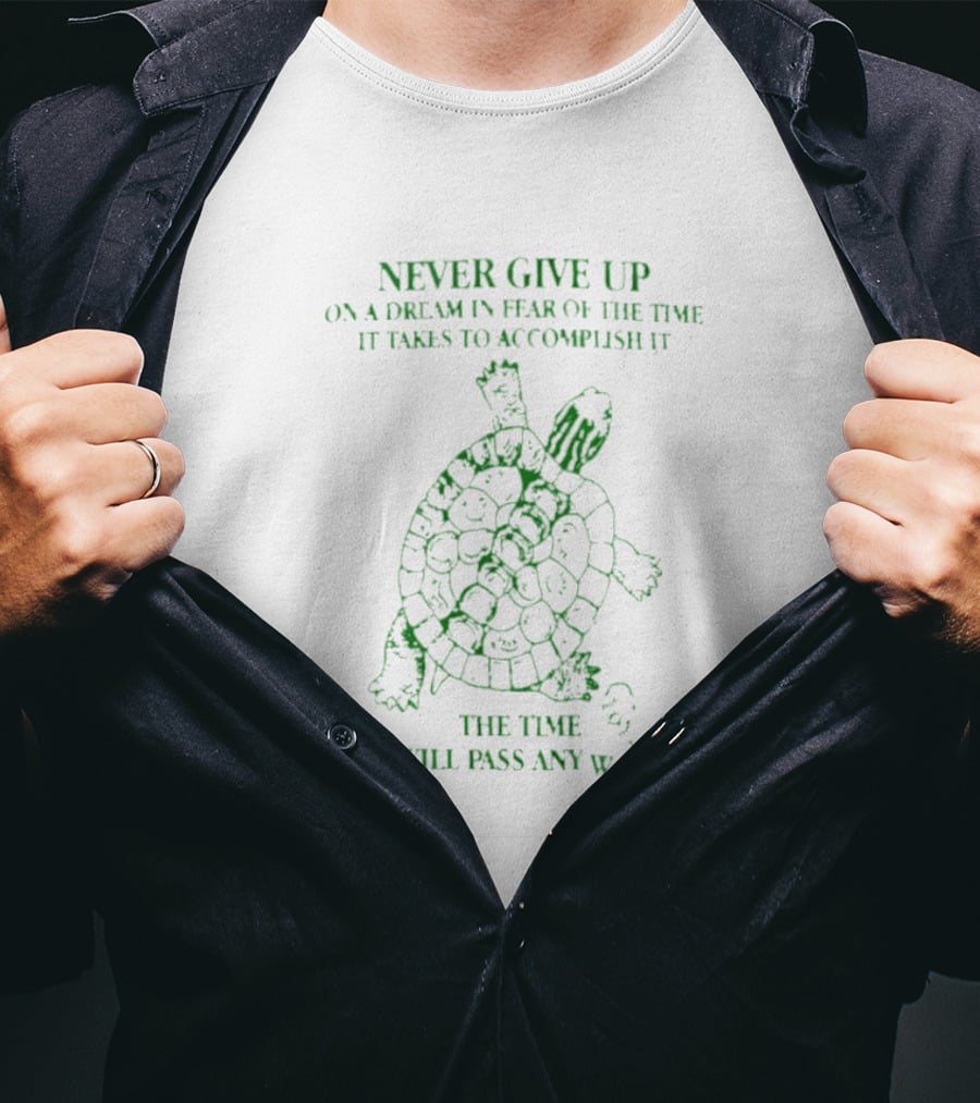 Never Give Up On A Dream Turtle The Time Will Pass Anyway T-Shirt