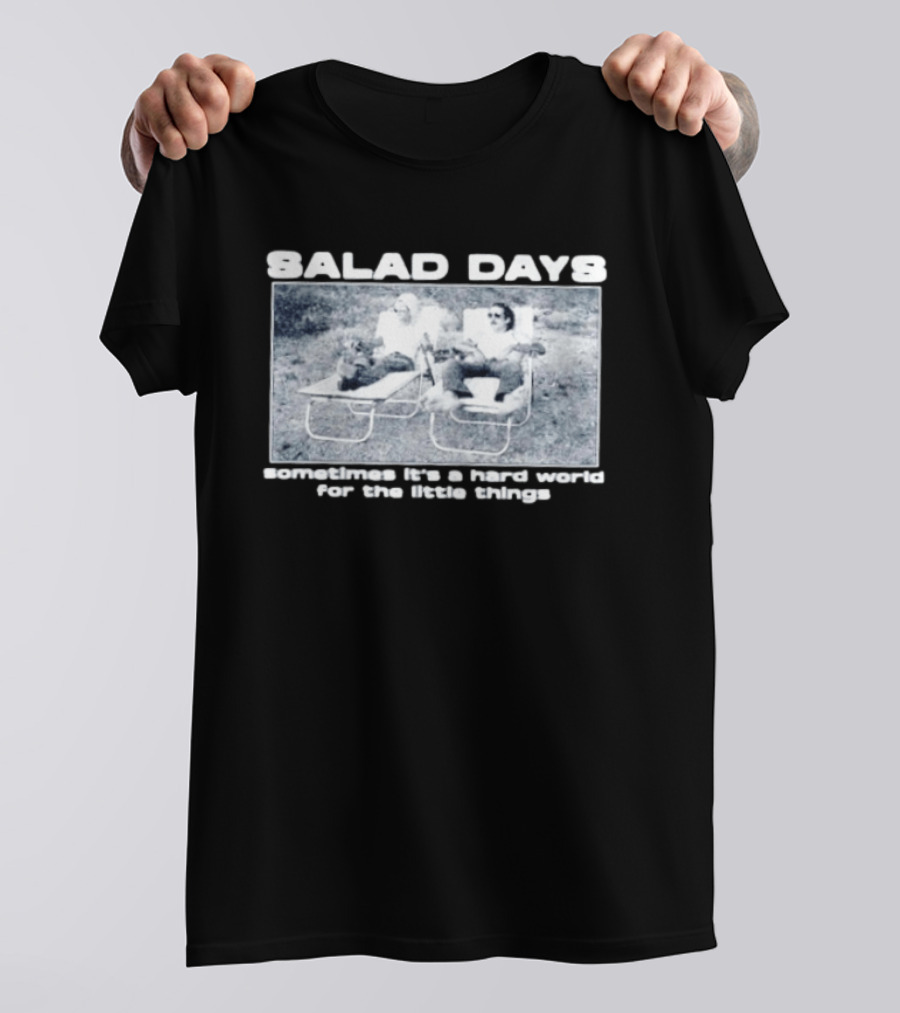 SALAD DAYS Sometimes It's A Hard World For The Little Things Vintage Lounge Chair Image T-Shirt