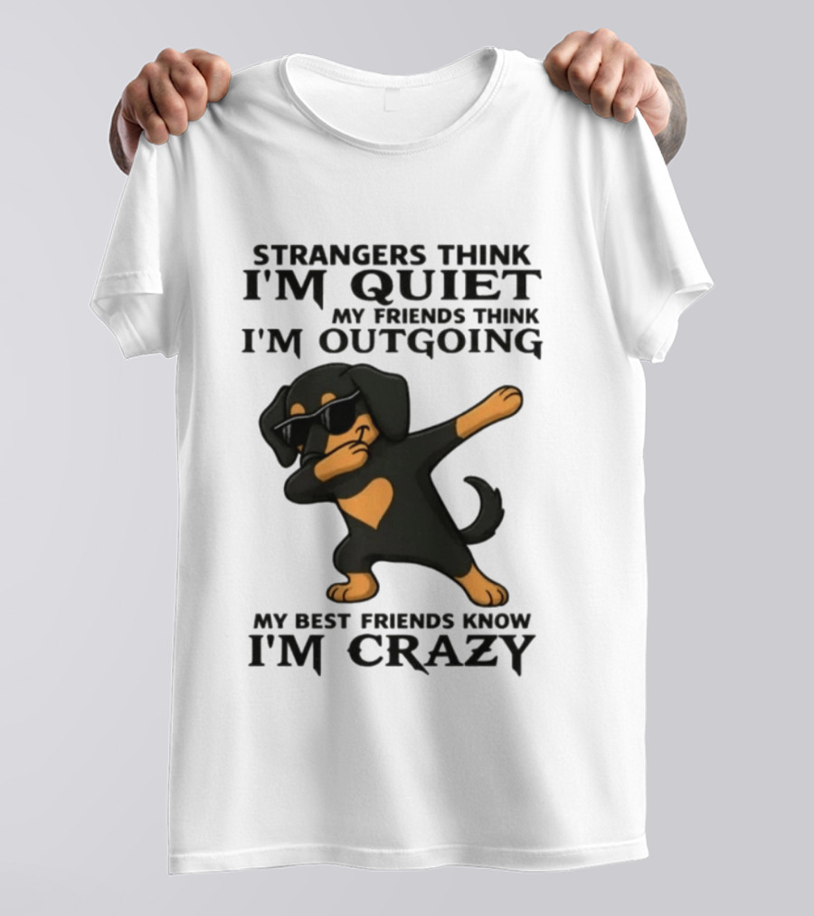 Strangers Think I'm Quiet Friends Think I'm Outgoing Best Friends Know I'm Crazy Dabbing Dachshund T-Shirt