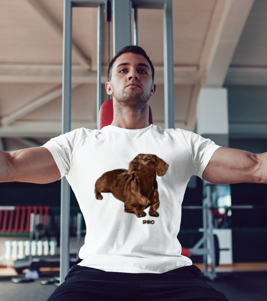 Sienna Spiro Dachshund Visitor T-Shirt
