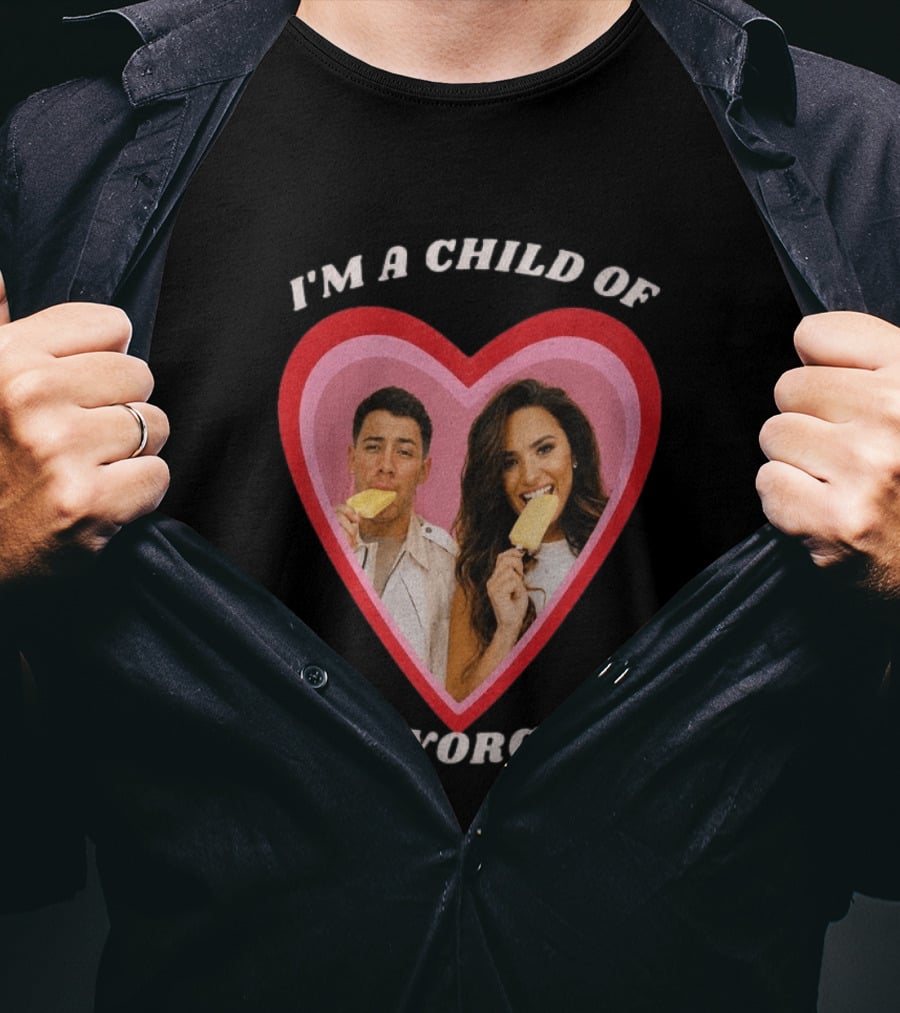 I'm A Child Of Divorce Nick Jonas Demi Lovato Heart Popsicle Image T-Shirt