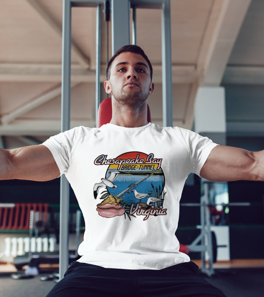 Chesapeake Bay Bridge Tunnel Virginia Seagulls Sunset Scene T-Shirt