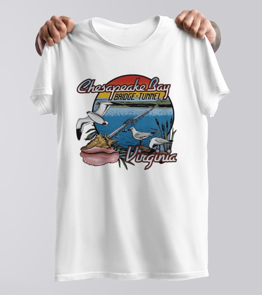 Chesapeake Bay Bridge Tunnel Virginia Seagulls Sunset Scene T-Shirt