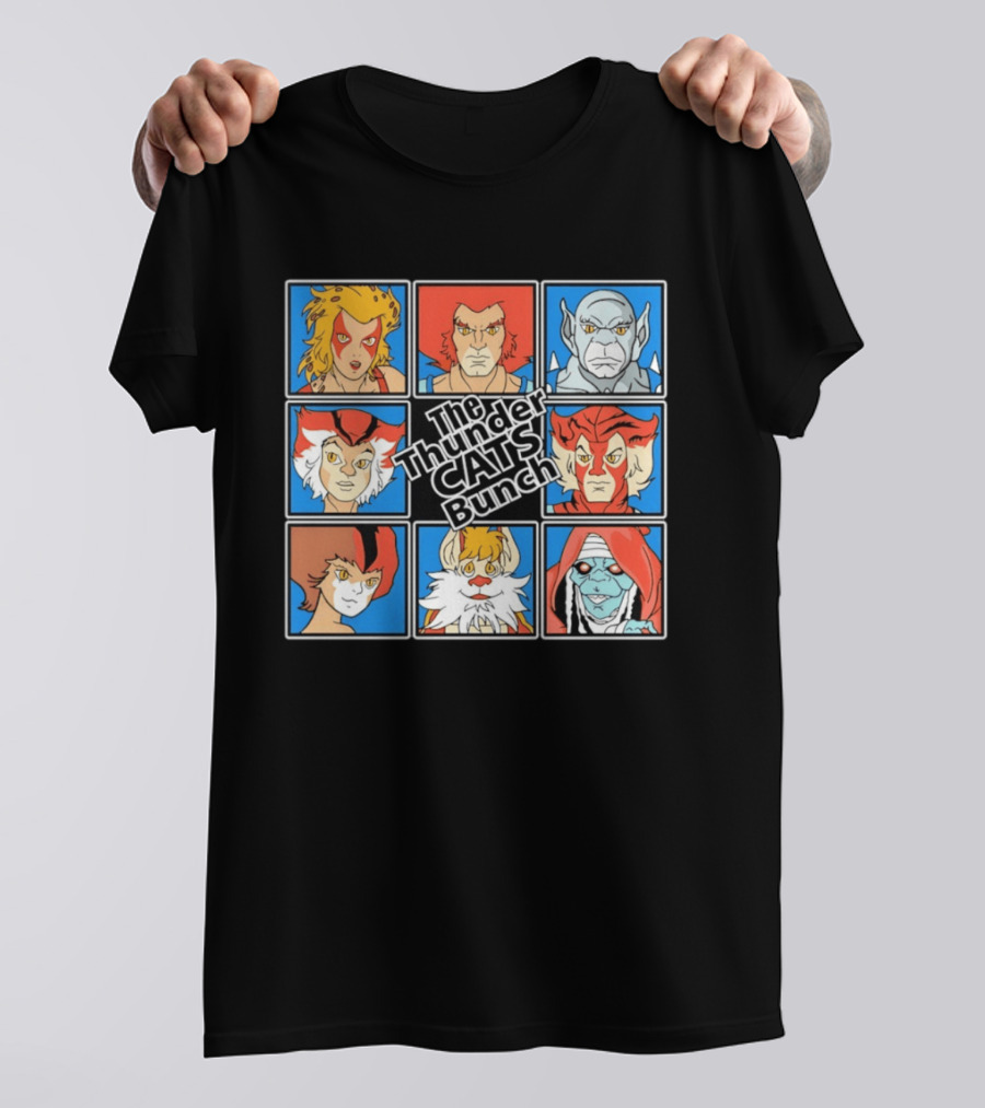 The ThunderCats Bunch Characters Classic Cartoon Collaboration T-Shirt