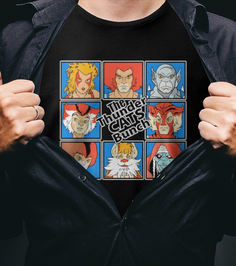 The ThunderCats Bunch Characters Classic Cartoon Collaboration T-Shirt