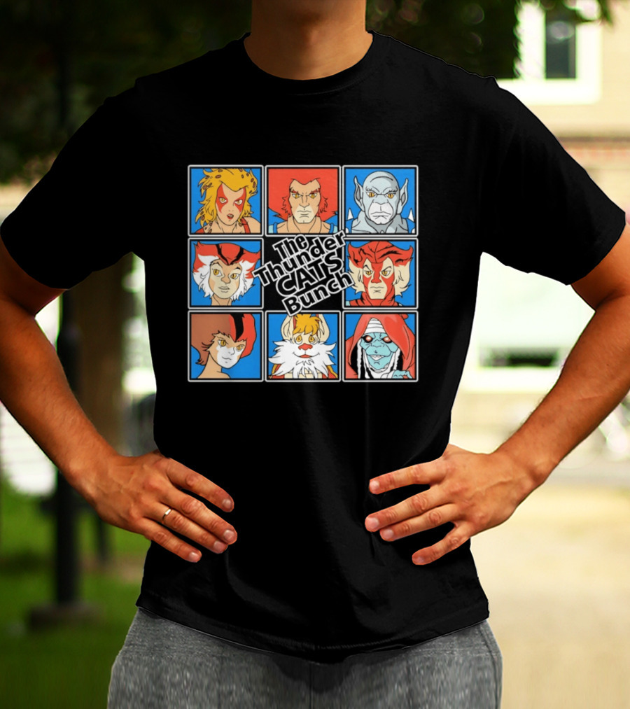 The ThunderCats Bunch Characters Classic Cartoon Collaboration T-Shirt