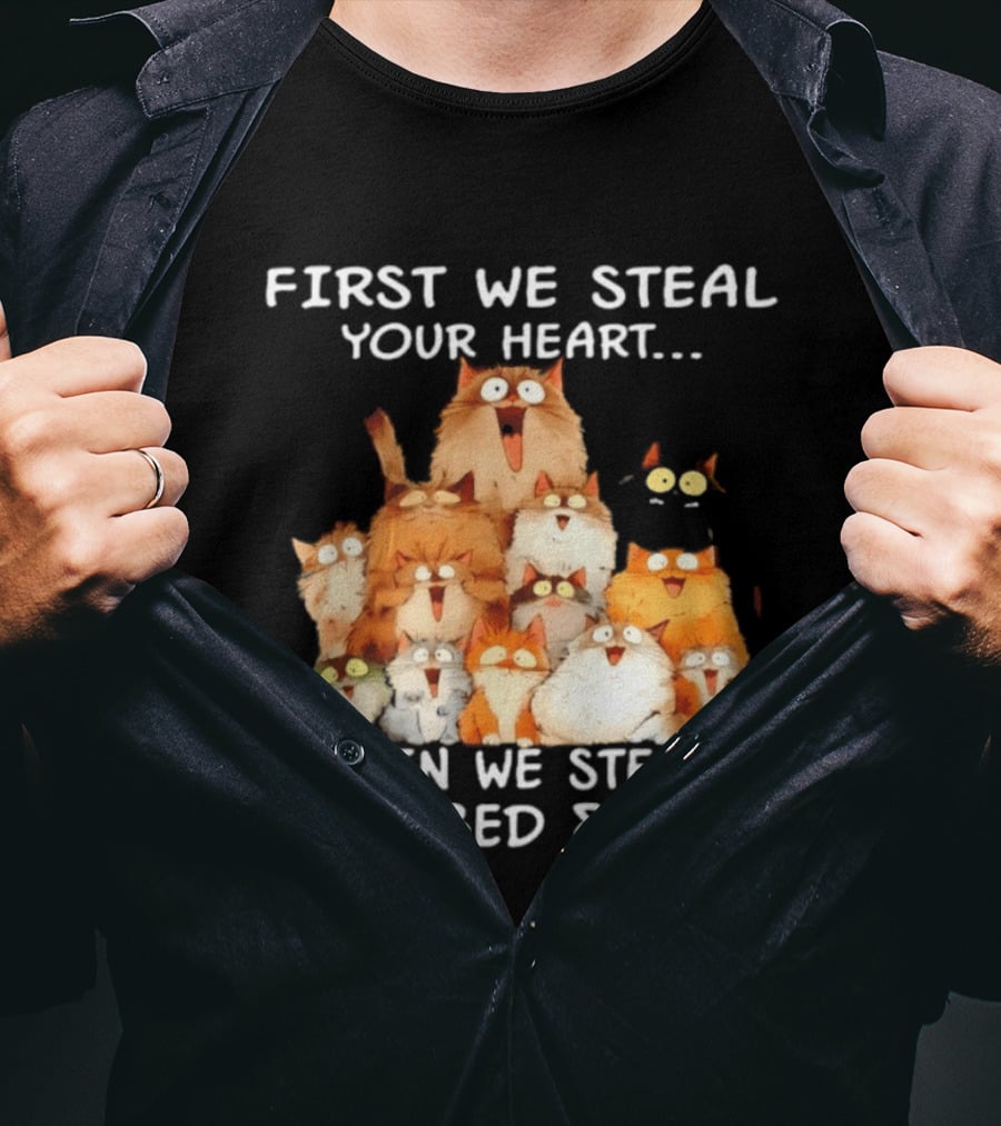 First We Steal Your Heart Then We Steal Your Bed And Sofa Cats Stack T-Shirt