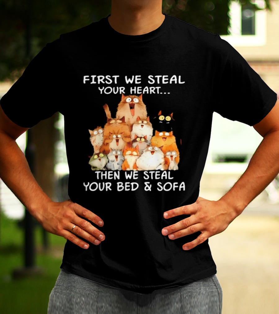 First We Steal Your Heart Then We Steal Your Bed And Sofa Cats Stack T-Shirt