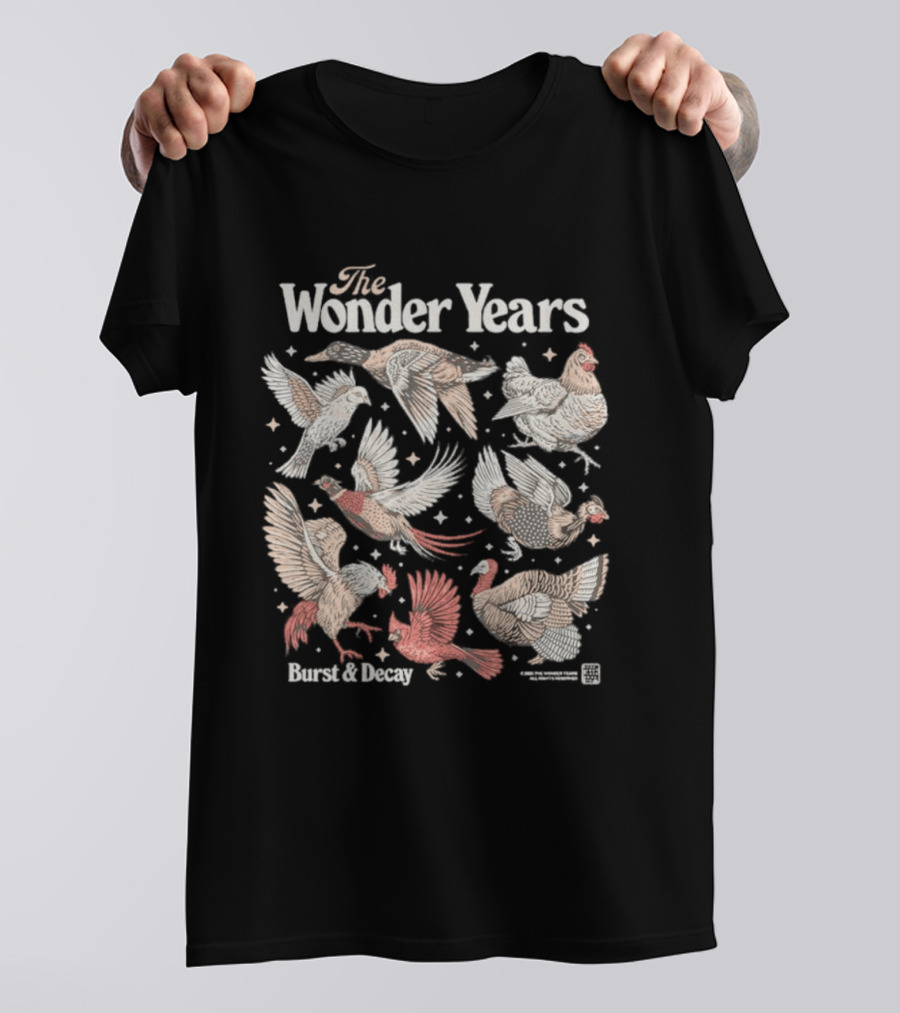 The Wonder Years Burst Decay Birds Vintage Aesthetic T-Shirt