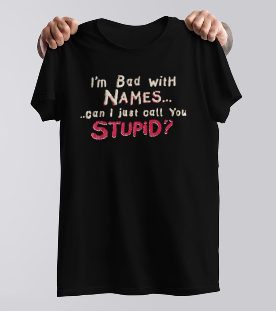 I'm Bad With Names Can I Just Call You Stupid T-Shirt