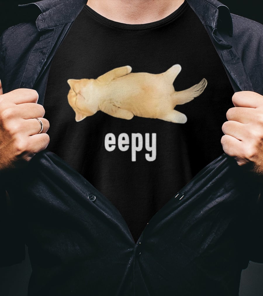 Eepy Sleeping Orange Kitten Cat Meme T-Shirt