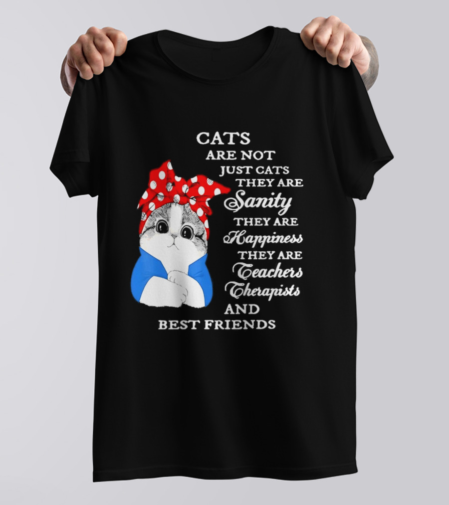 Cats Are Not Just Cats They Are Sanity Happiness Teachers Therapists Best Friends T-Shirt