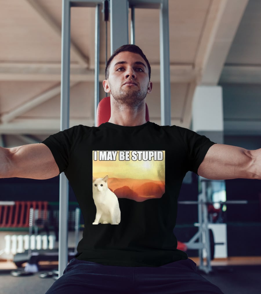 I May Be Stupid Cat With Sunrise T-Shirt