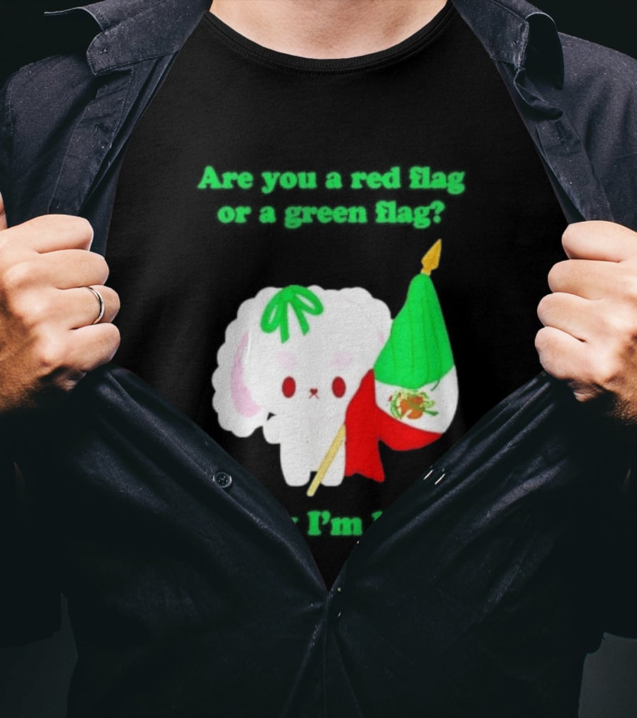 Nonomochi Mexico Flag Are You A Red Flag Or A Green Flag Cute Bunny Holding Mexican Flag T-Shirt