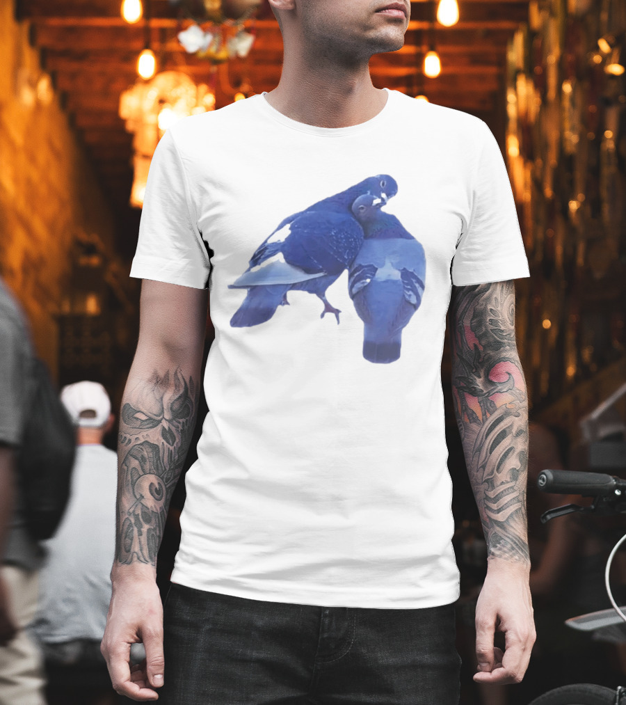 Love Doves Sports Banger Blue Pigeons Embrace T-Shirt