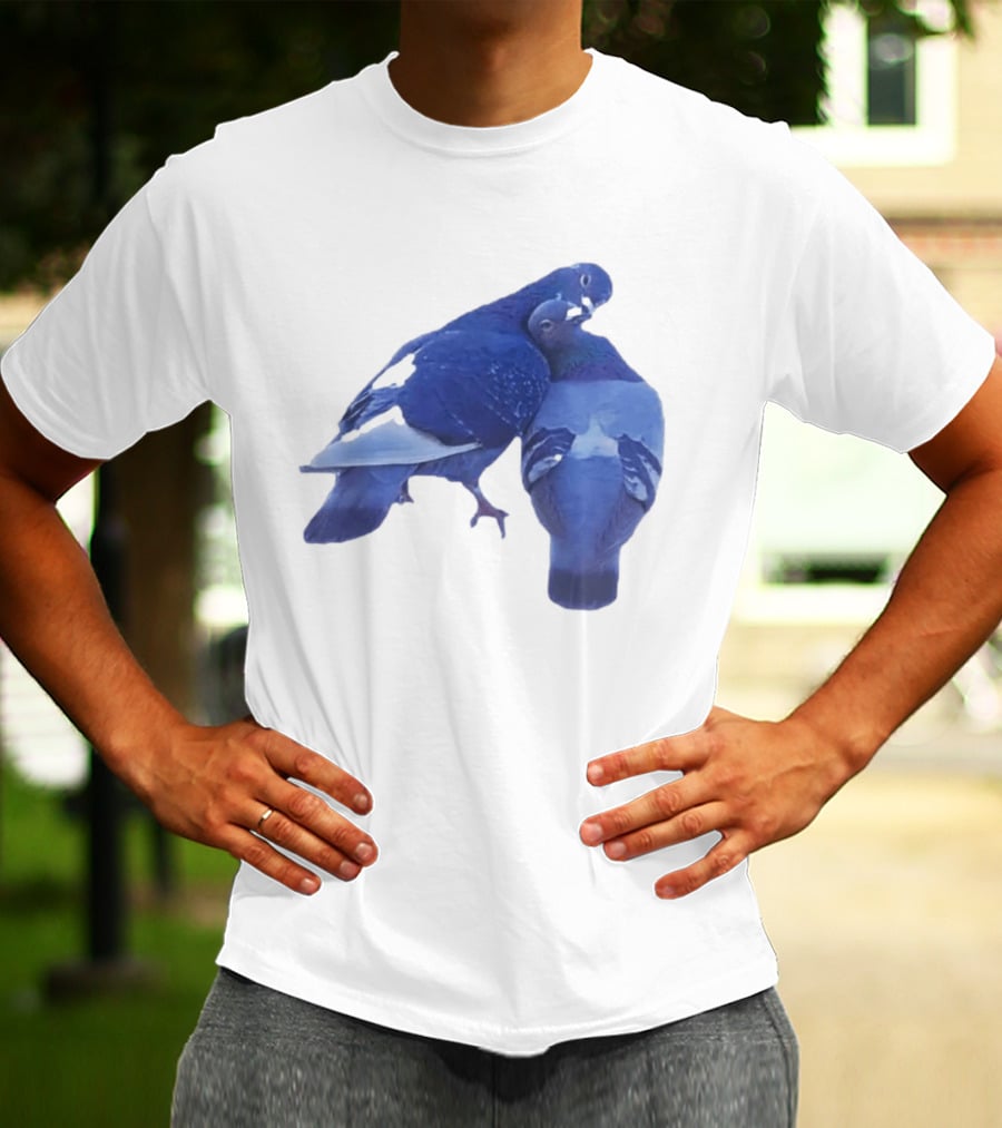 Love Doves Sports Banger Blue Pigeons Embrace T-Shirt