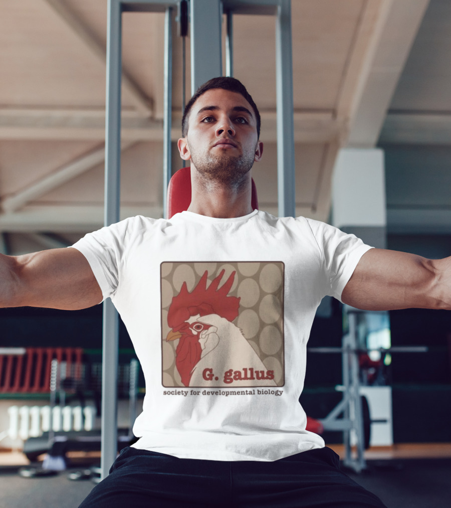 G Gallus Society For Developmental Biology Chicken Rooster Oval T-Shirt