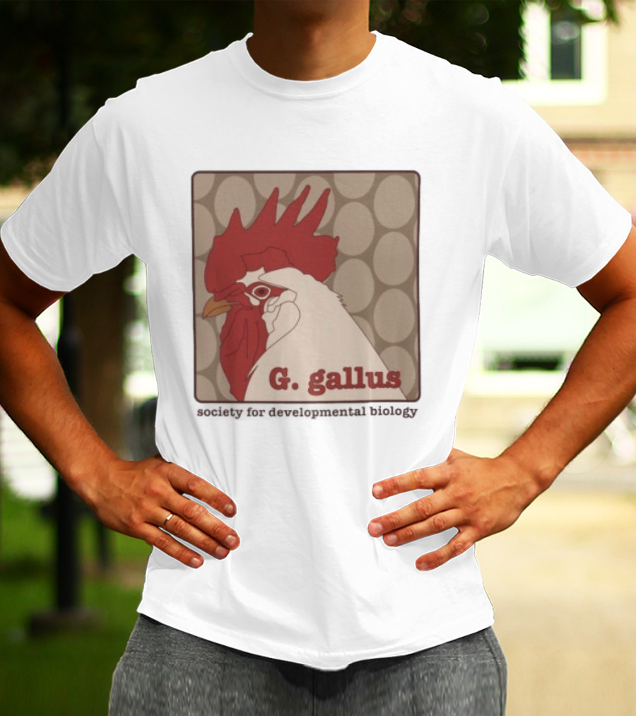 G Gallus Society For Developmental Biology Chicken Rooster Oval T-Shirt