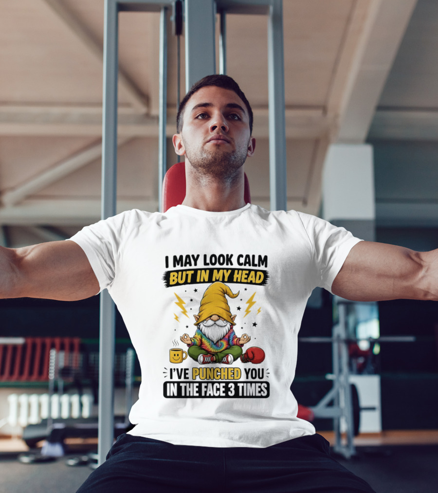 Gnome I May Look Calm But In My Head I've Punched You In The Face 3 Times T-Shirt