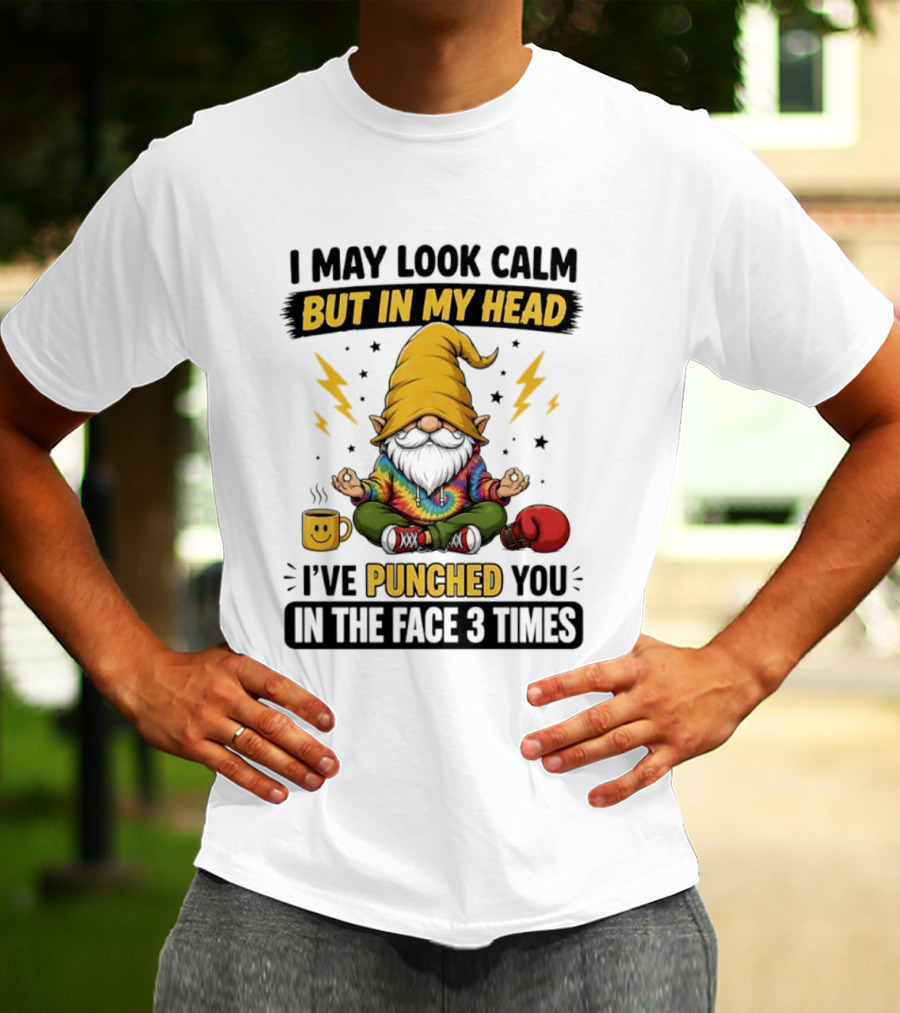 Gnome I May Look Calm But In My Head I've Punched You In The Face 3 Times T-Shirt