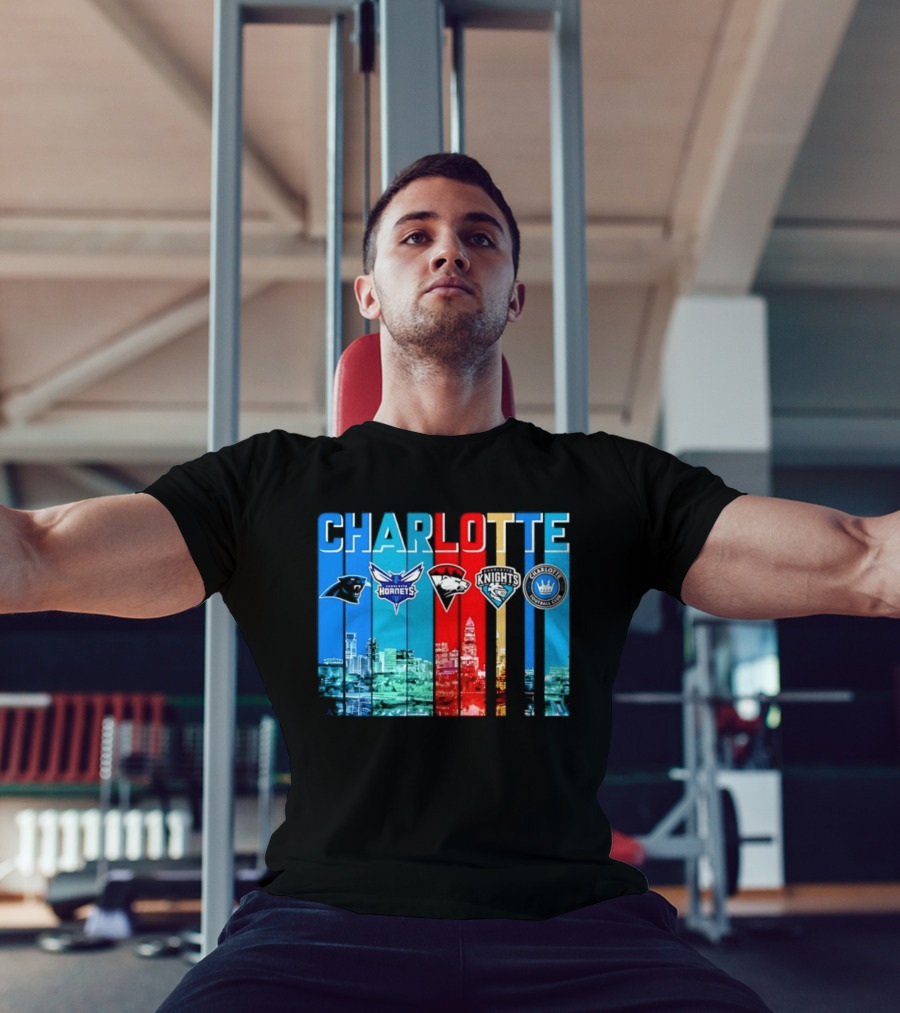 Charlotte Panthers Hornets Knights City Skyline Sports Team Logos T-Shirt