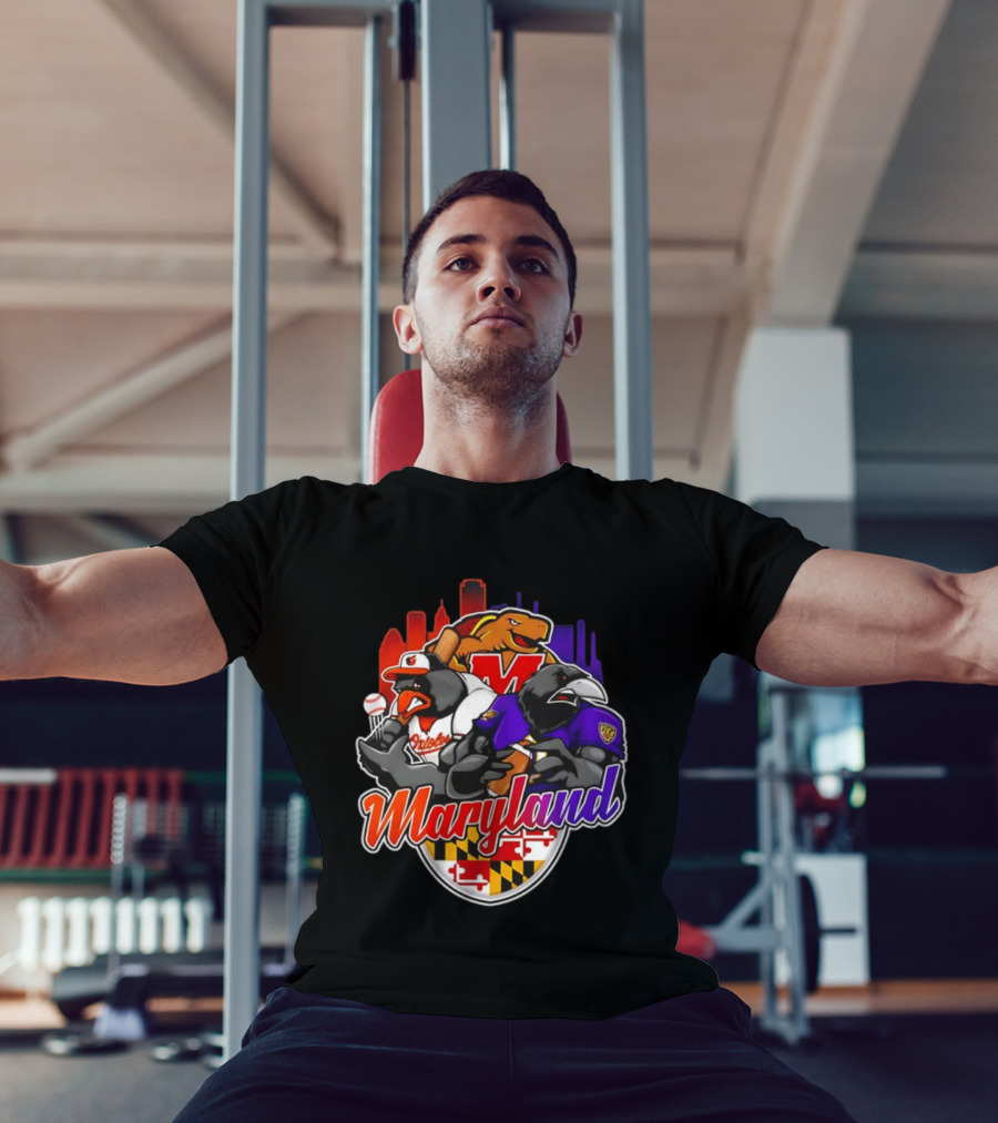 Maryland Orioles Ravens Terrapins Skyline Mashup With Flag T-Shirt
