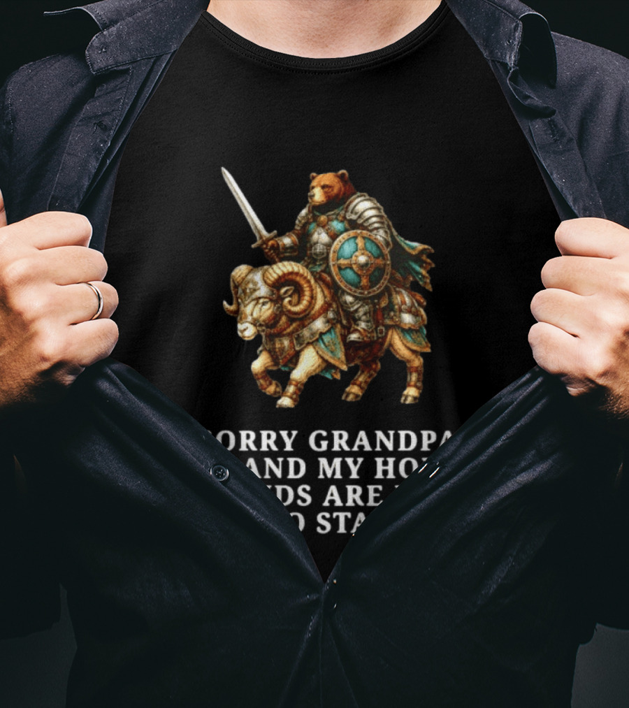 Sorry Grandpa Bear Knight Homo Friends Here To Stay Lamb Warrior T-Shirt
