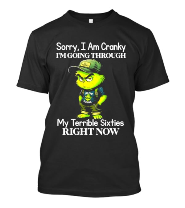 Sorry I Am Cranky I'm Going Through My Terrible Sixties Right Now T-Shirt