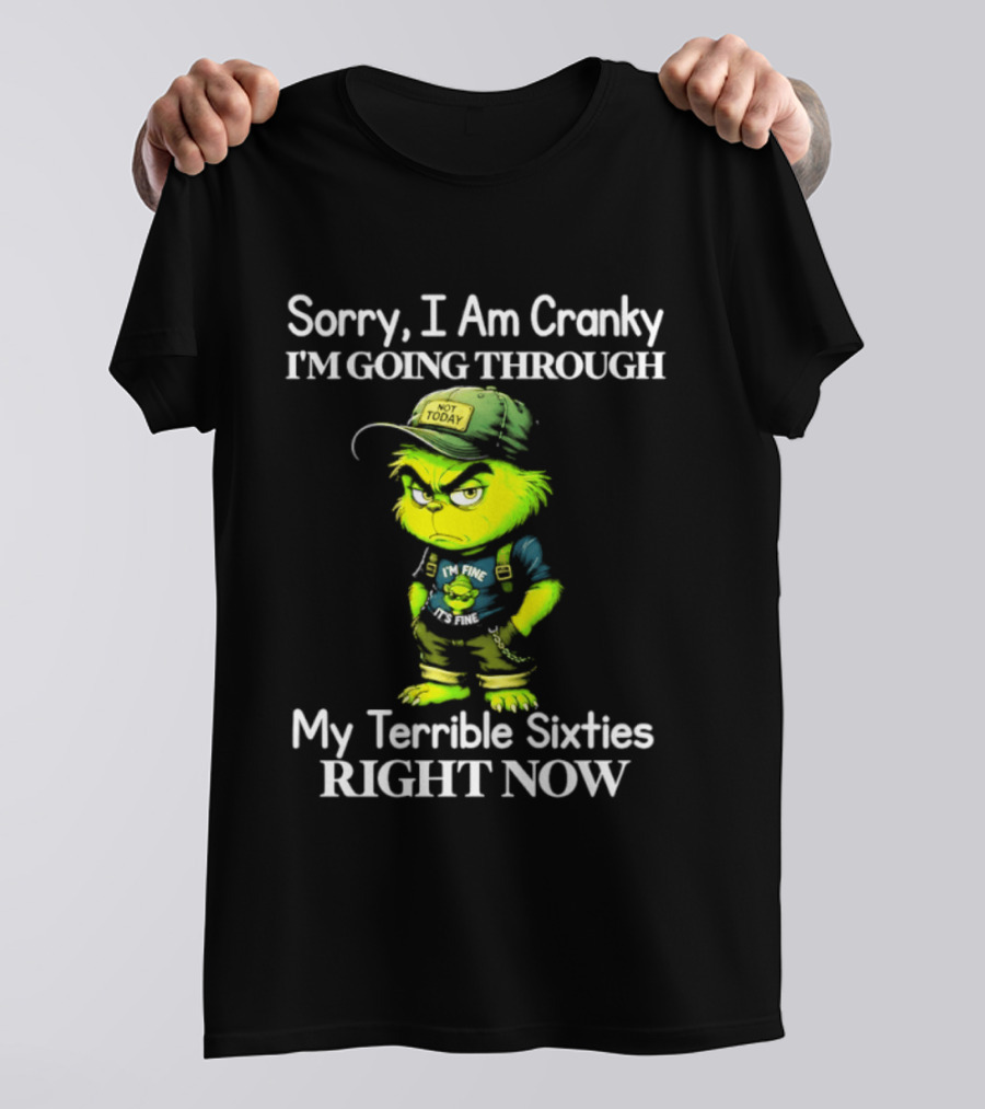 Sorry I Am Cranky I'm Going Through My Terrible Sixties Right Now T-Shirt