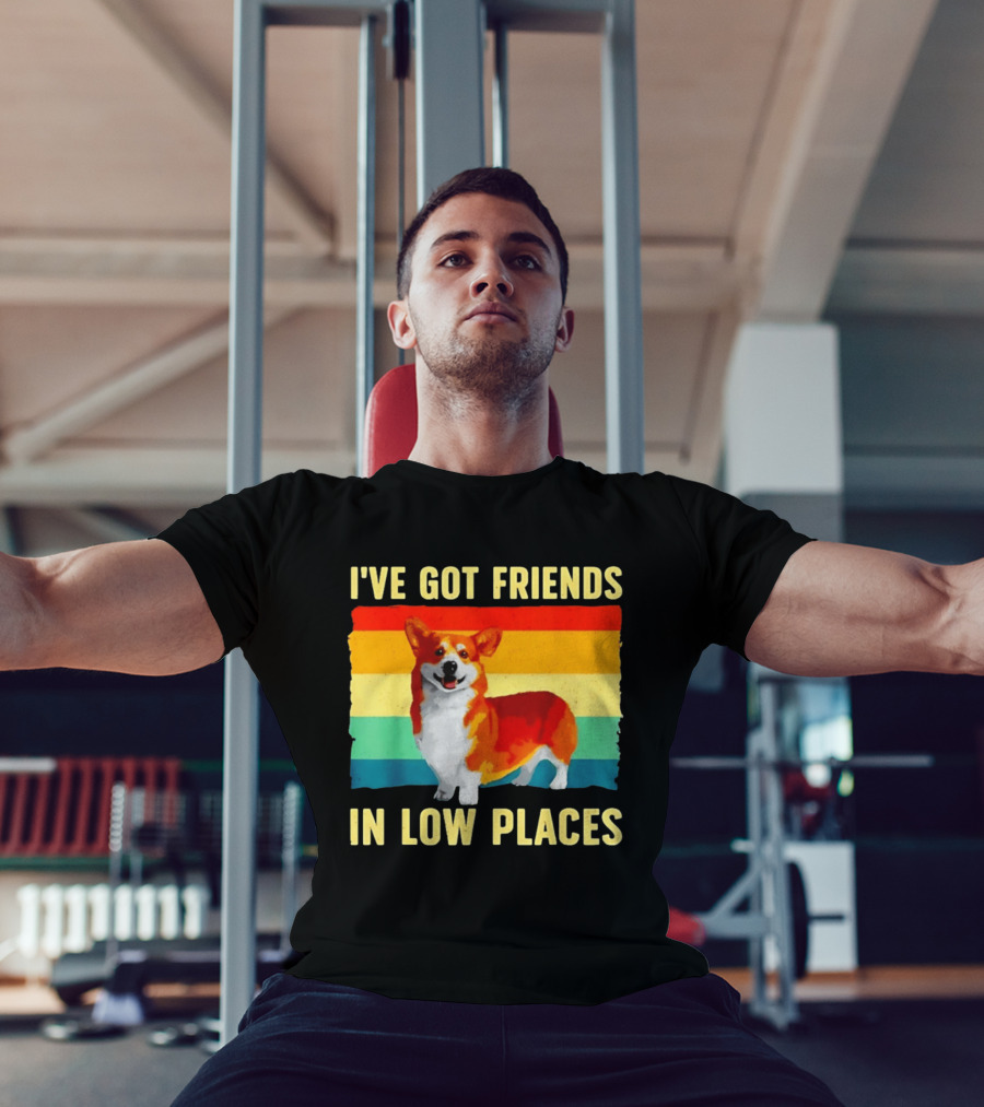 Corgi I've Got Friends In Low Places Vintage Rainbow T-Shirt