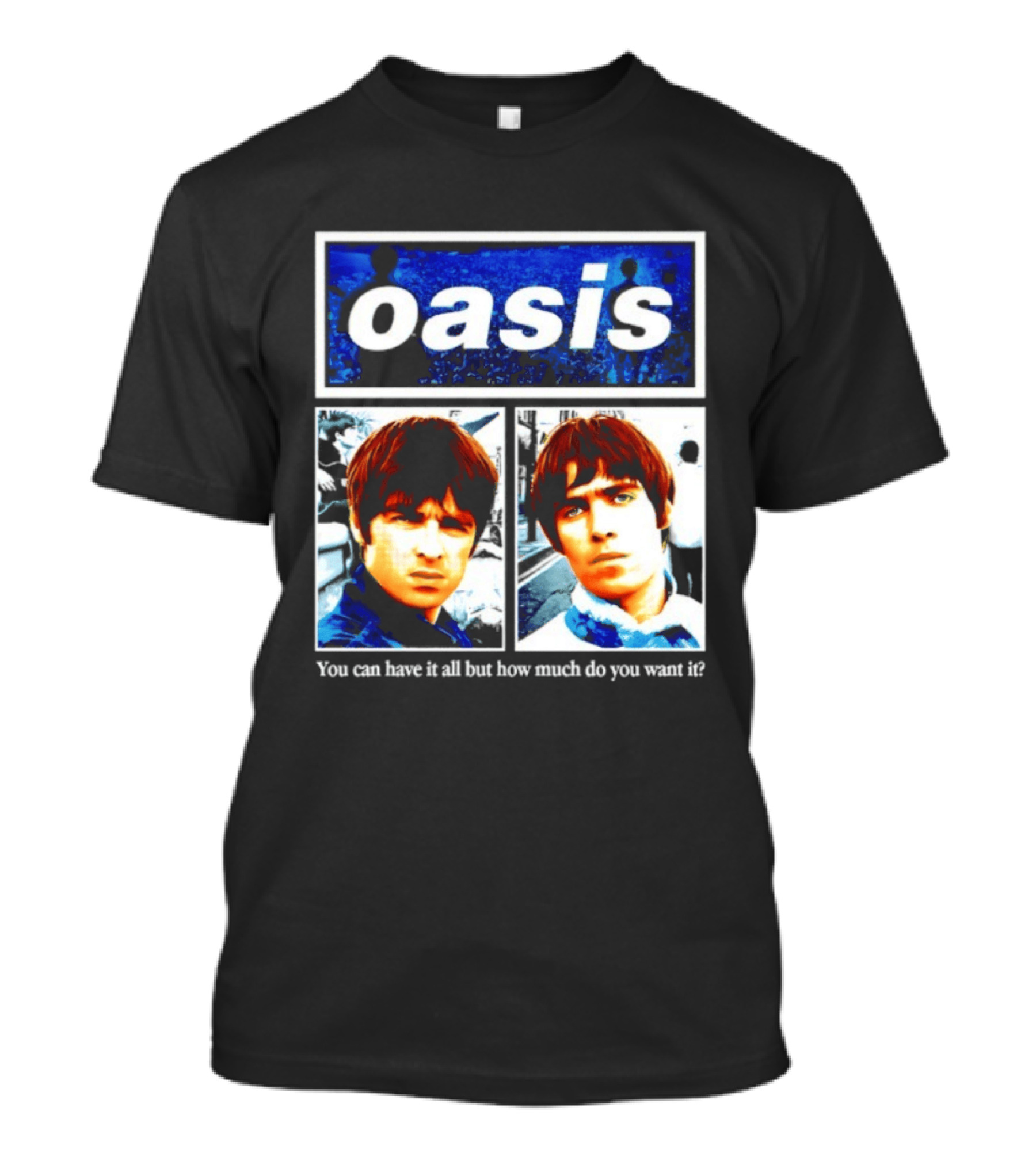 Oasis You Can Have It All But How Much Do You Want It Music Band T-Shirt