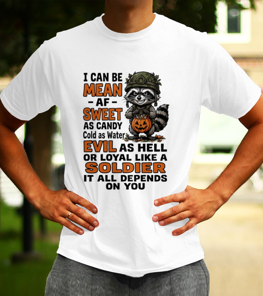 Raccoon I Can Be Mean AF Sweet As Candy Cold As Water Evil As Hell Or Loyal Like A Soldier It All Depends On You T-Shirt