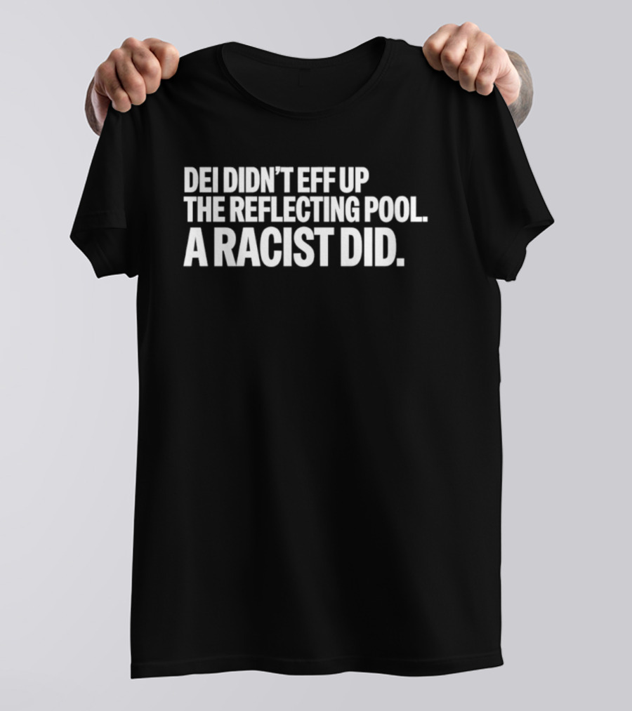DEI Didn't Eff Up The Reflecting Pool A Racist Did T-Shirt