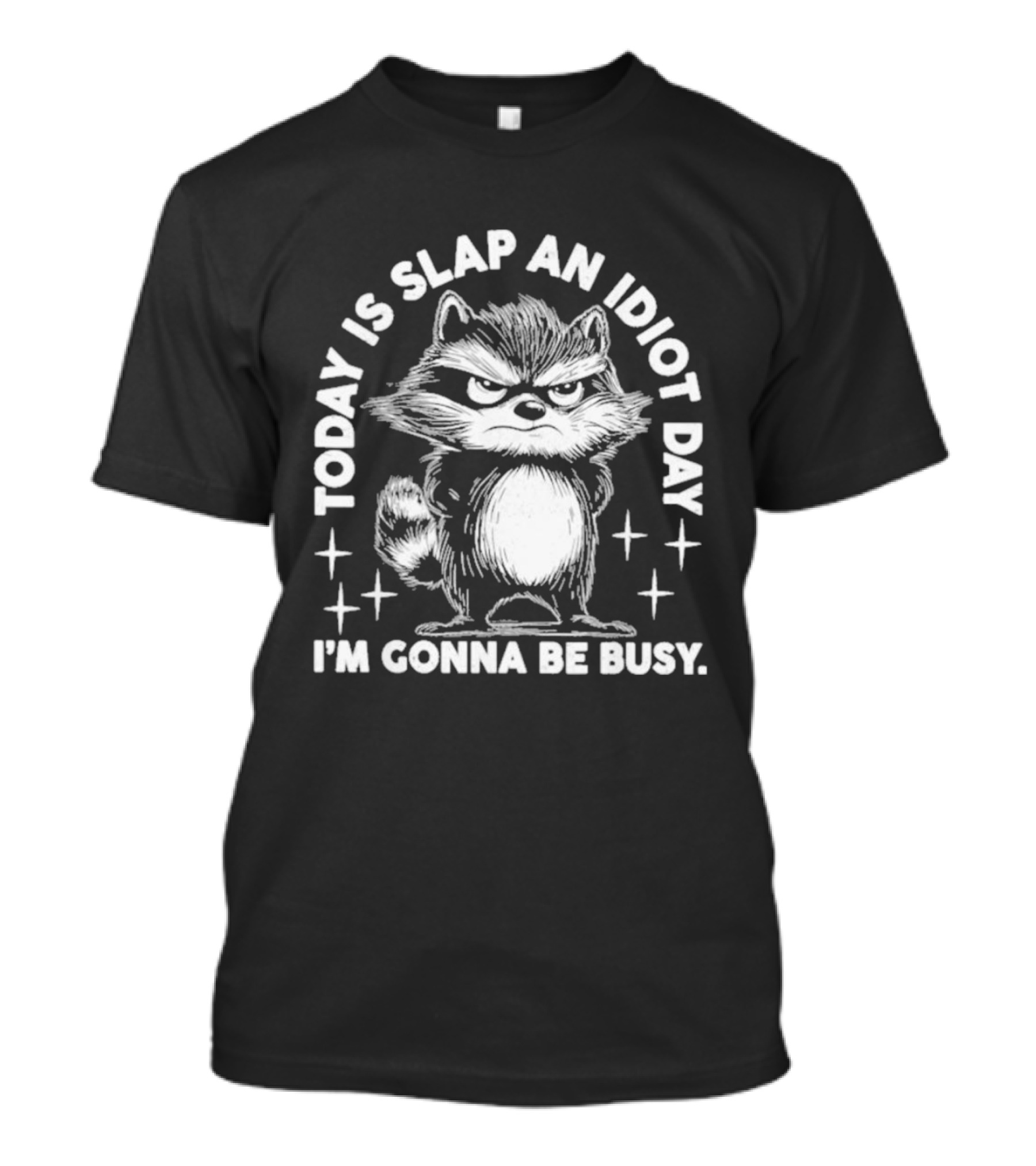 Raccoon Today Is Slap An Idiot Day I'm Gonna Be Busy T-Shirt