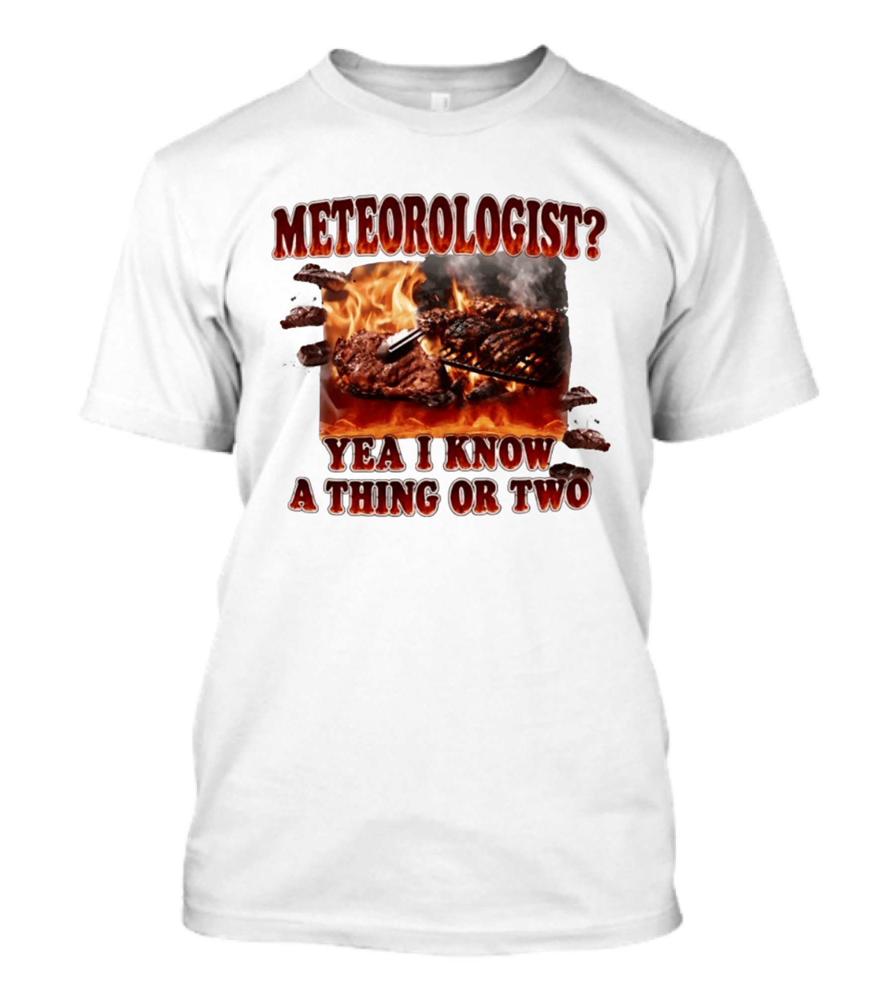 Meteorologist Yea I Know A Thing Or Two BBQ Grilling Steak Fire Humor T-Shirt