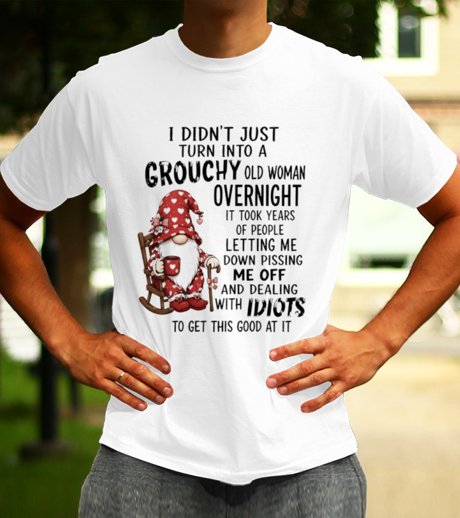 I Didn't Just Turn Into A Grouchy Old Woman Overnight Gnome Humor It Took Years Of People Letting Me Down Pissing Me Off And Dealing With Idiots T-Shirt