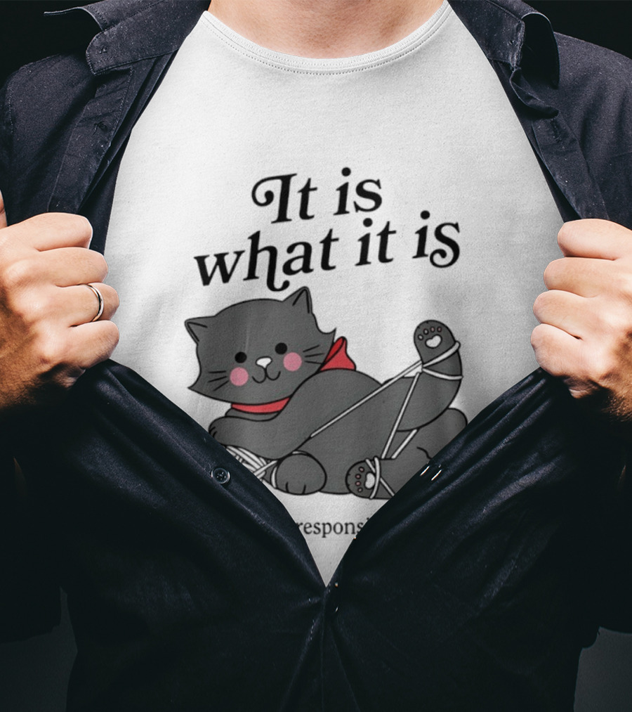 It Is What It Is Playful Cat With Yarn I'm Fully Responsible For It T-Shirt