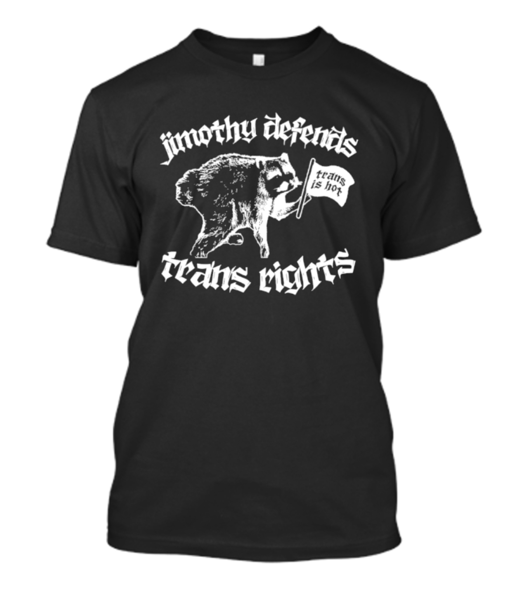 Jimothy Defends Trans Rights Raccoon Holding Flag T-Shirt