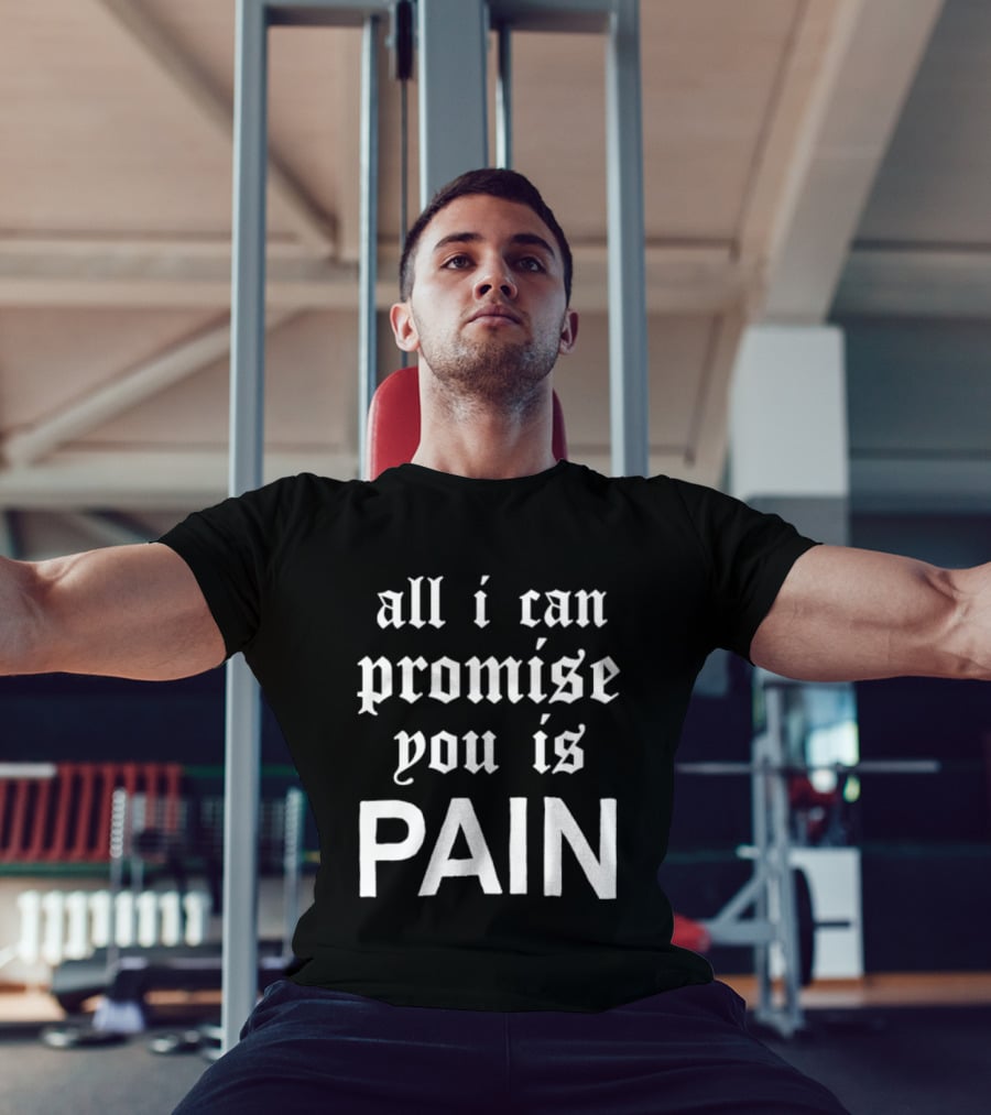 All I Can Promise You Is Pain T-Shirt