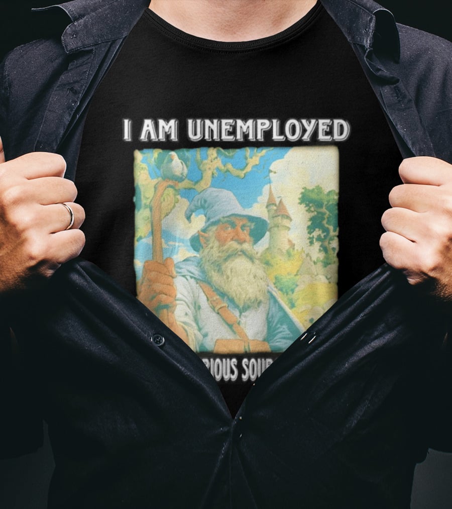 I Am Unemployed Mysterious Source Of Income Medieval Wizard And Castle T-Shirt