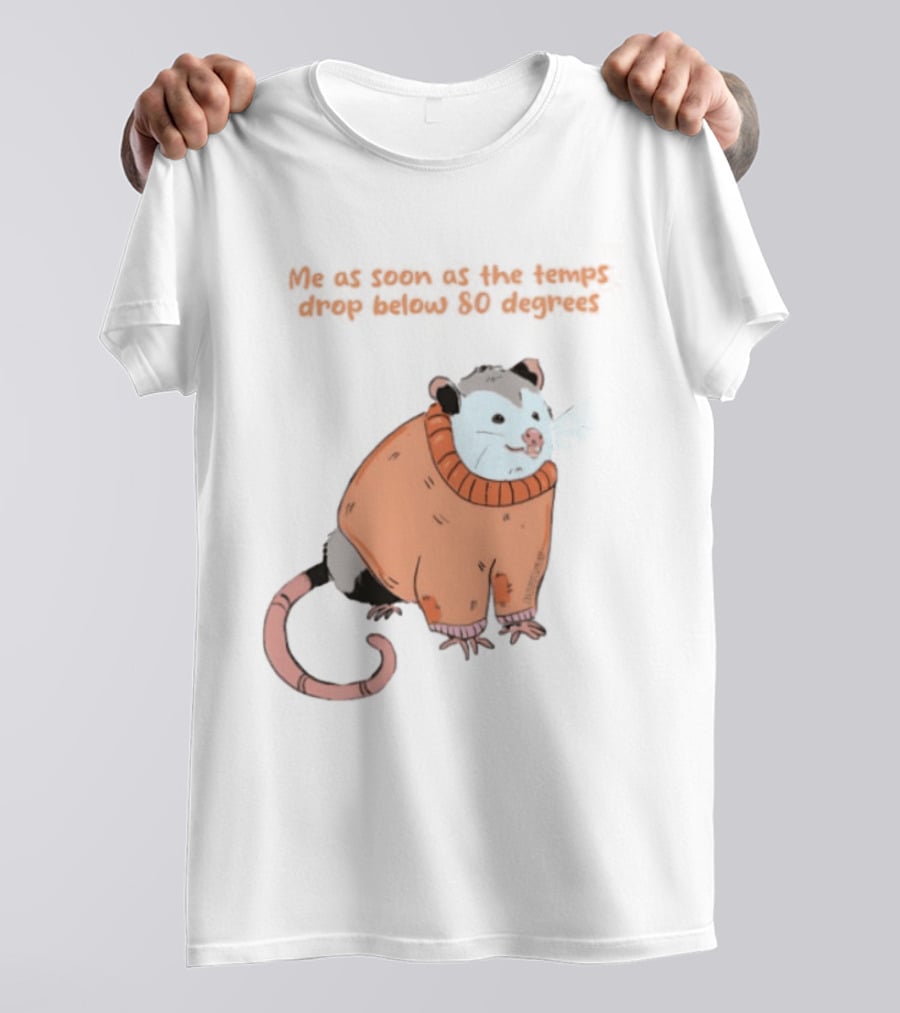 Opossum Cozy Sweater Temps Below 80 Degrees T-Shirt